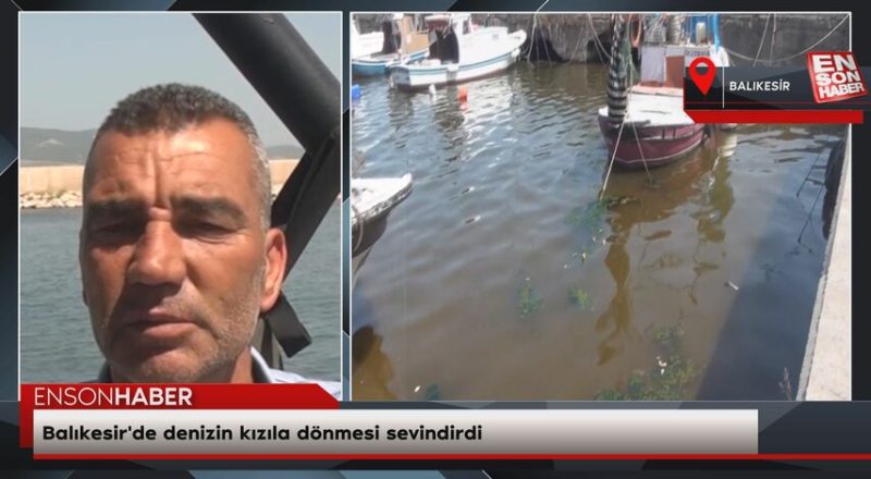 Balıkesir'de denizin kızıla dönmesi sevindirdi Balıkesir'de denizin kızıla dönmesi sevindirdi