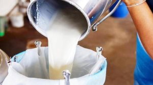 Çiğ süte yüzde 33 zam! Süt ve süt eserlerinde fiyat artışı kapıda