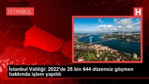 İstanbul Valiliği: 2022'de 25 bin 644 sistemsiz göçmen hakkında süreç yapıldı