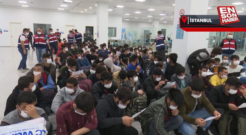 Kocaeli'de yakalanan 272 kaçak göçmen sınır dışı edildi