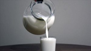 Martta toplanan süt miktarı: 857 bin 789 ton