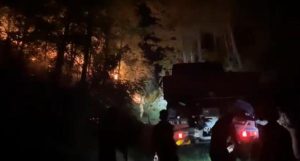 OGM:  Adana Kozan'da çıkan yangına birinci müdahale gerçekleşti
