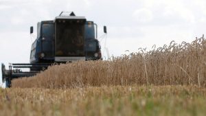 Rusya'dan tahıl krizine çözüm önerisi: Yaptırımları kaldırın