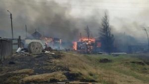 Sibirya'daki orman yangınlarında can kaybı artıyor