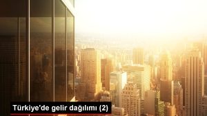 Türkiye'de gelir dağılımı (2)