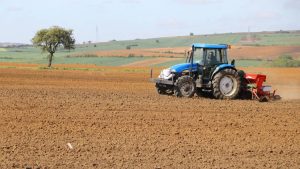 Türkiye'de tahıllar ve bitkisel ürünlerde üretim artacak