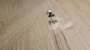 Ukrayna'daki tarım işletmeleri savaştan kötü etkilendi