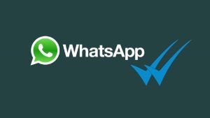 WhatsApp'ta mavi tik olmadan mesaj okumanın 4 yolu