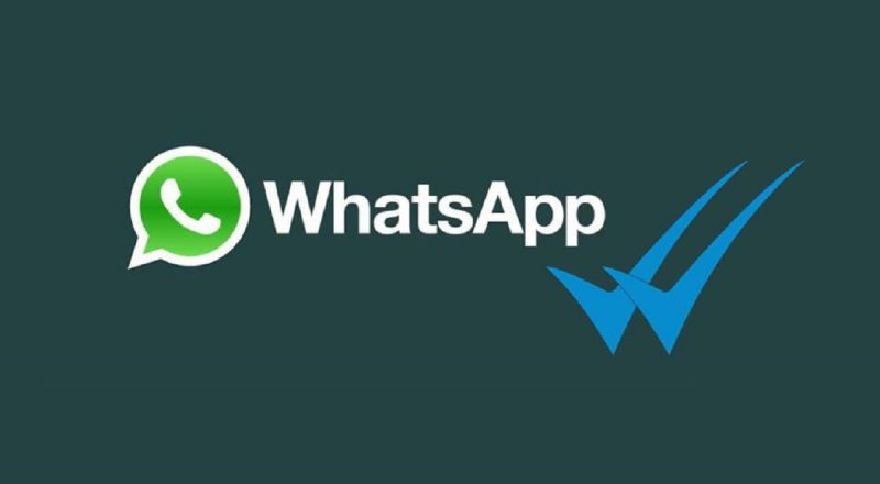 WhatsApp'ta mavi tik olmadan mesaj okumanın 4 yolu