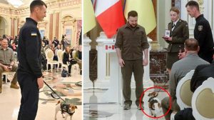 Zelenski'den Rus mayınlarını tespit eden köpeğe devlet nişanı