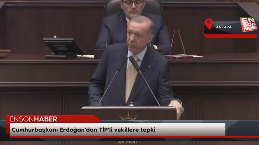 Cumhurbaşkanı Erdoğan'dan TİP'li vekillere tepki