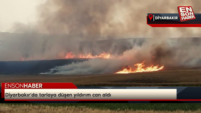 Diyarbakır'da tarlaya düşen yıldırım can aldı