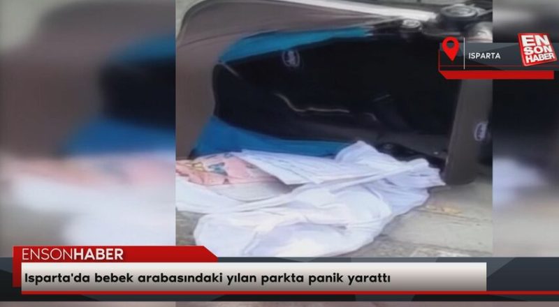 Isparta'da bebek arabasındaki yılan parkta panik yarattı