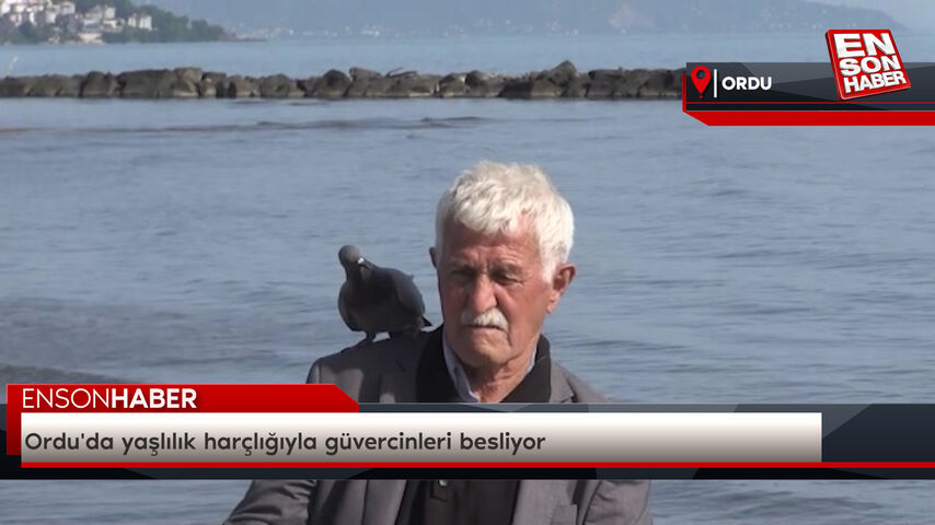 Ordu'da yaşlılık harçlığıyla güvercinleri besliyor