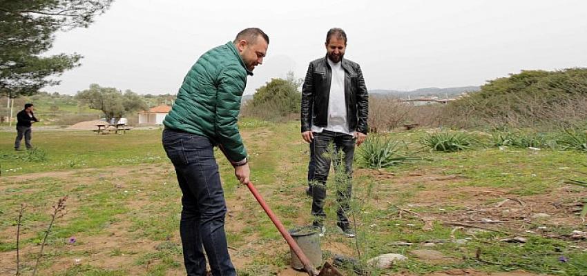 Seferihisar yine yeşeriyor! Seferihisar yine yeşeriyor!