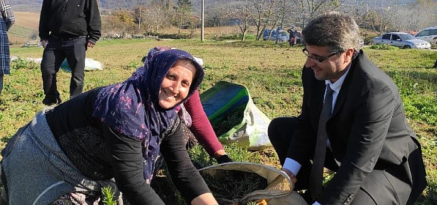 Sekapark A.Ş. organik tarıma geçiş sürecini başlattı Sekapark A.Ş. organik tarıma geçiş sürecini başlattı
