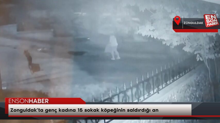 Zonguldak’ta genç kadına 15 sokak köpeğinin saldırdığı an Zonguldak’ta genç kadına 15 sokak köpeğinin saldırdığı an