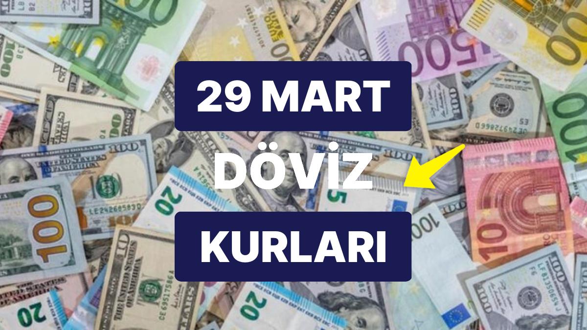 29 Mart 2023 Aktüel Döviz Kuru USD Fiyatı: Bugün Dolar Fiyatı Ne Kadar? 1 Dolar Ne Kadar, Kaç TL?