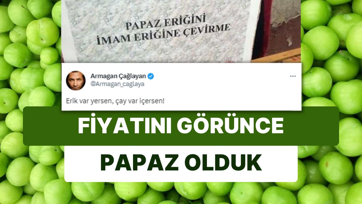 Mevsimin Birinci Fiyatı Koldan Düştü: Maaşa Bağlanan Erik Fiyatını Armağan Çağlayan Paylaştı