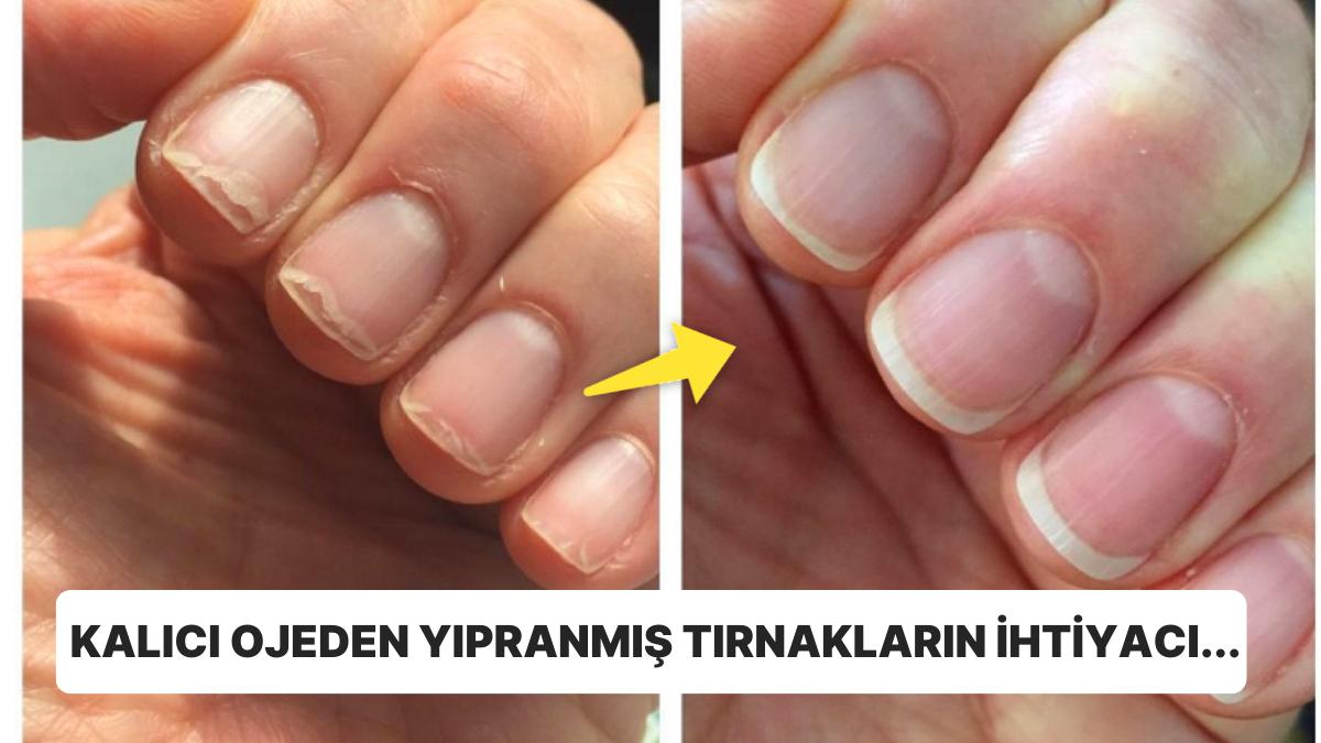 Önerdiğiniz Şahıslara “Sana Söylemiştim!” Diyebileceğiniz Harika Tesirli 21 TikTok Eseri
