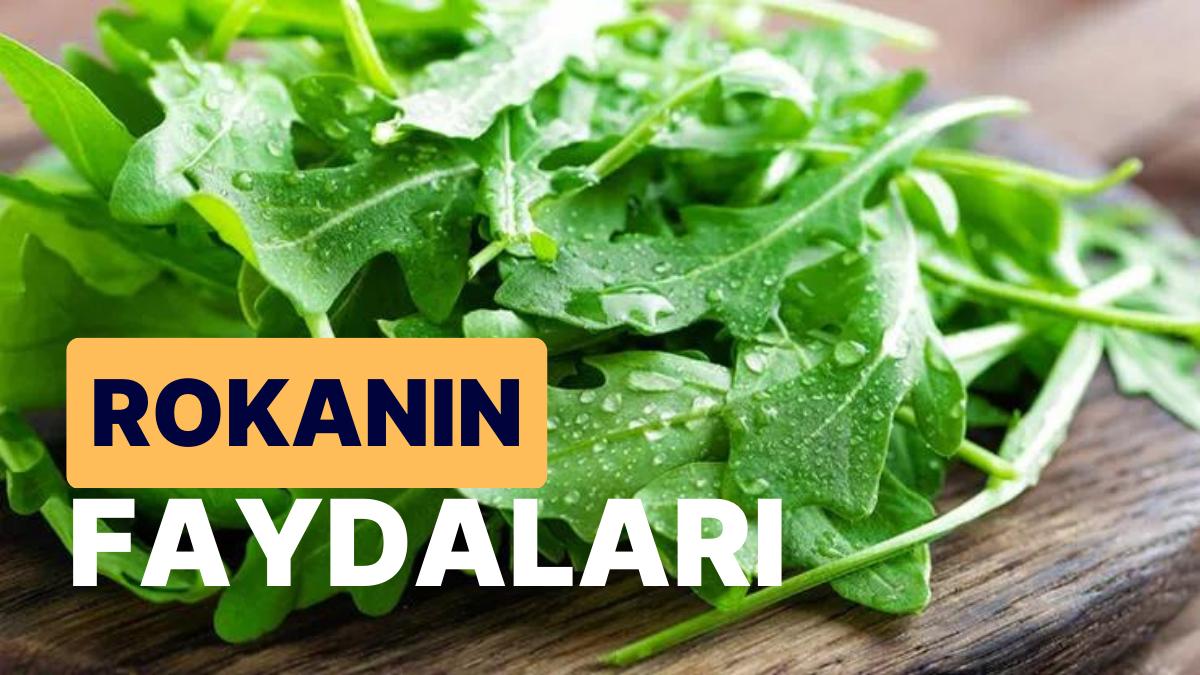 Rokanın Yararları: Antioksidanlarla Dolu Bir Zerzevat Olan Roka Hakkında Her Şey
