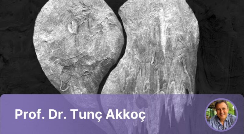 Aşkta Patoloji, Patolojide Aşk