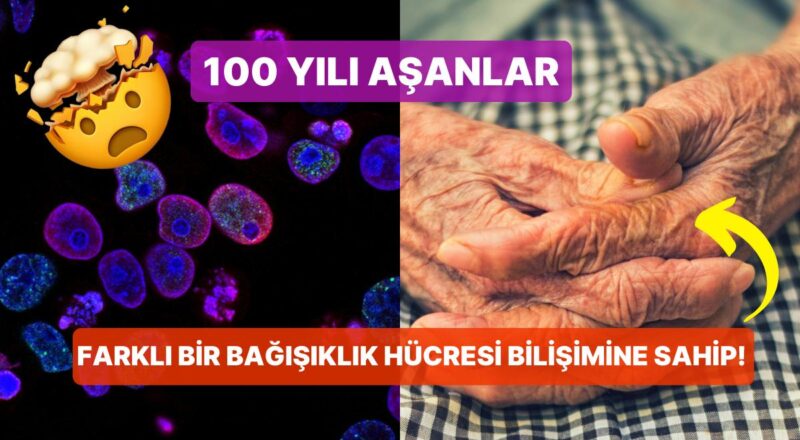 Bilim İnsanları Birtakım İnsanların 100 Yaşından Fazla Yaşamasını Sağlayan Sebebi Bulmuş Olabilir!