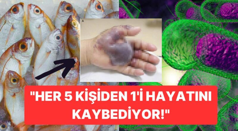 İnsanlığı Yeni Bir Tehlike Bekliyor Olabilir: Ölümcül Olabilen Hastalığın Hadiselerinde Önemli Artış Gözlemlendi!