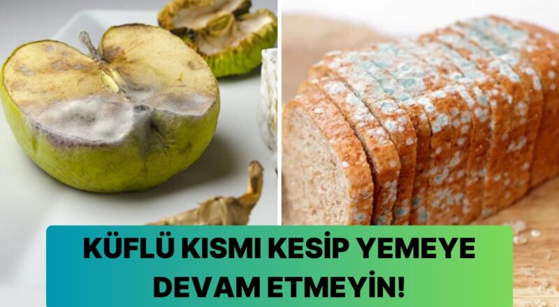 Kazara Çürümüş Besinleri Tüketmenin Bedene Muhtemel Tesirleri Nelerdir?