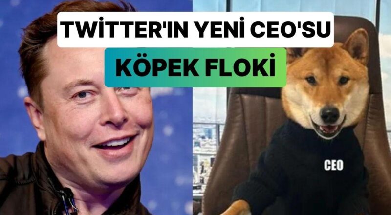 Latife Değil Gerçek: Elon Musk, Twitter CEO Vazifesine Köpeğini Atadı!