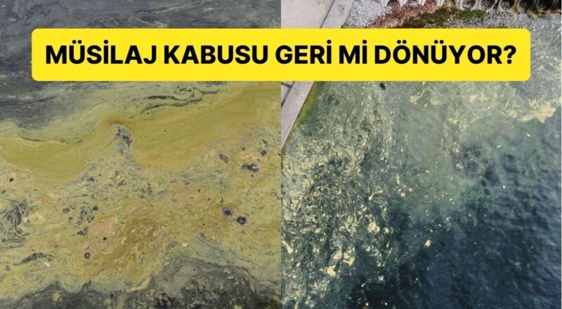 Müsilaj Geri mi Dönüyor? Marmara'da Endişelendiren Manzara
