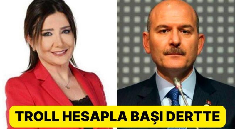 Sevilay Yılman'dan Süleyman Soylu'ya: 'Kadınlığıma, Saldıran Bu Namussuz Sizin Denetiminizde Bir Trolmüş'