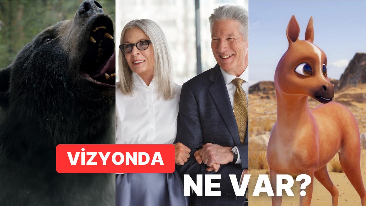 Sinemalarda Bu Hafta: 'Çıldırmış Ayı'dan 'Tay'a 9 Sinema Vizyonda!