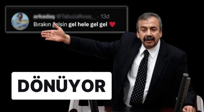 Sırrı Süreyya Lider, Faal Siyasete Geri Dönüyor