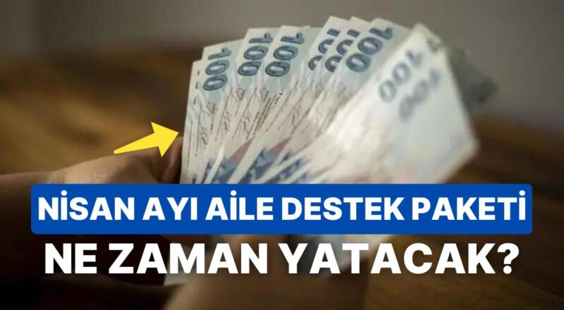 Toplumsal Yardım Ne Vakit Yatacak, Neden Yatmadı? 2023 Nisan Ayı Aile Takviye Paketi Sorgulama Ekranı