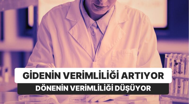 Türkiye'den Giden 12 Bin Bilim İnsanı Yurtdışında Çalışıyor