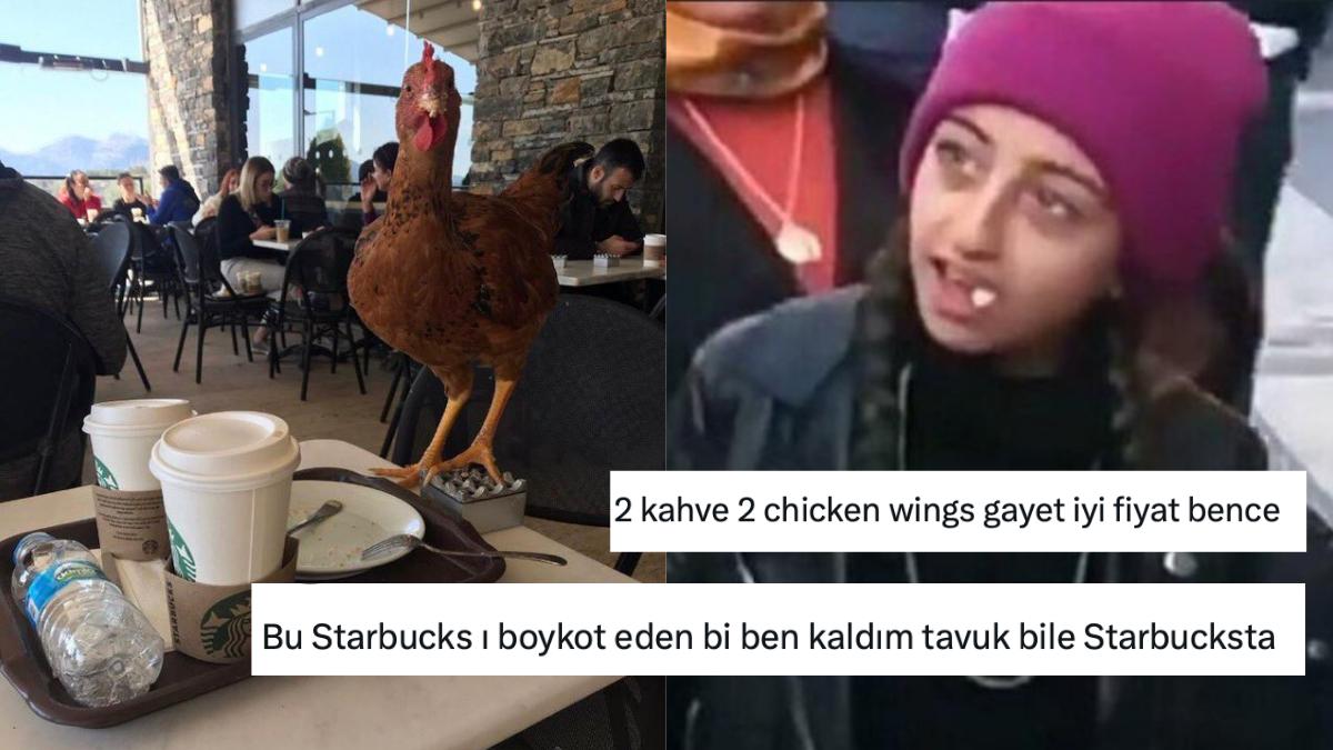 Aldığı Kahvenin Fiyatına İsyan Eden Kullanıcının Masasının Üzerindeki Canlı Tavuk 'Fiyata Dahil mi' Dedirtti Aldığı Kahvenin Fiyatına İsyan Eden Kullanıcının Masasının Üzerindeki Canlı Tavuk 'Fiyata Dahil mi' Dedirtti