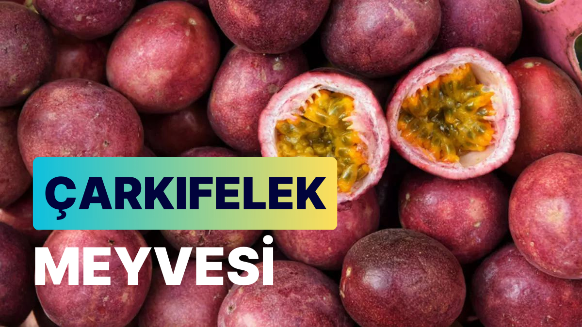 Çarkıfelek Meyvesi: Tropik Esintilerle Dolu Çarkıfelek Meyvesi Hakkında Her Şey