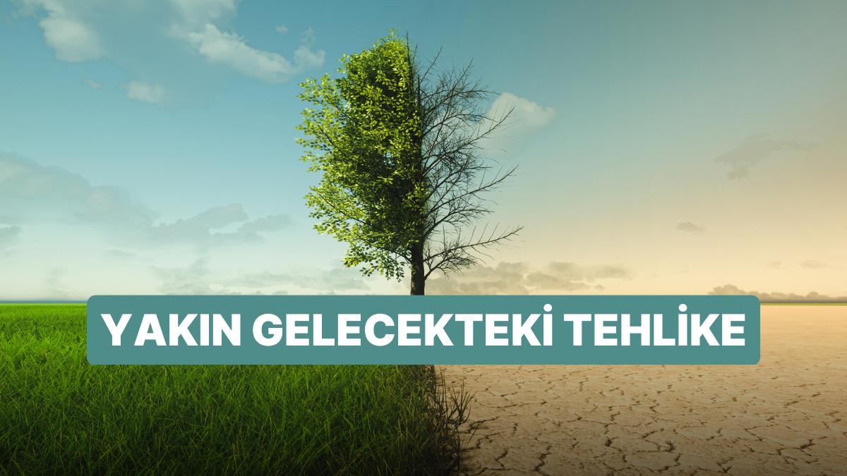 Google, Doodle Dizaynıyla İklim Değişikliğine Dikkat Çekti: Dünya Günü Nedir? Google, Doodle Dizaynıyla İklim Değişikliğine Dikkat Çekti: Dünya Günü Nedir?