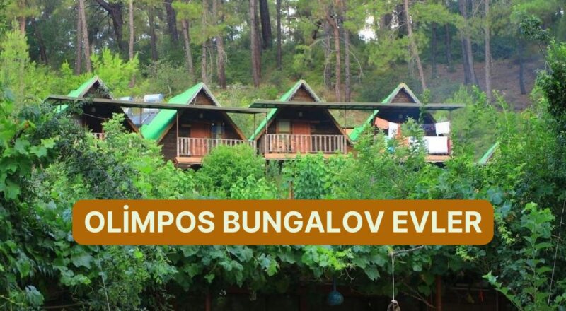 Portakal Çiçeği Kokularıyla Unutamayacağınız Bir Olimpos Tatili İçin Uygun Fiyatlı Bungalov Konutlar