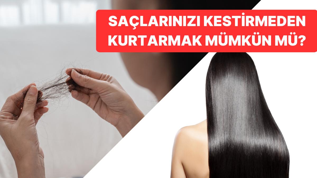 Saçlarınızın Kırıklarını Aldırmak Zorunda Kalmayın! Denemeniz Gereken En Güzel Argan Yağlı Şampuan Teklifleri