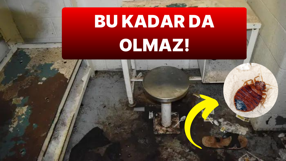 Sinema Değil Gerçek: Hapishane Hücresinde Böcekler Tarafından "Canlı Canlı Yenildikten" Sonra Ölen Adam