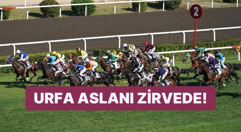 97. Gazi Koşusu'nun Galibi "Urfa Aslanı" Oldu!