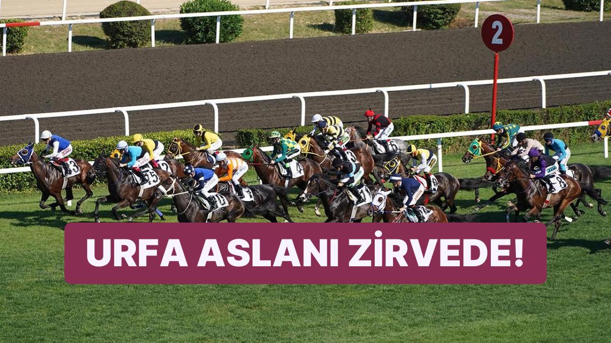 97. Gazi Koşusu'nun Galibi "Urfa Aslanı" Oldu!
