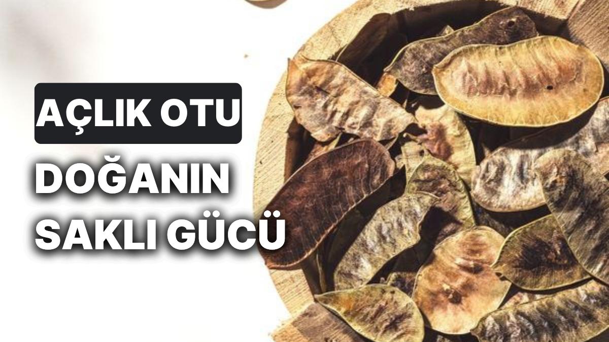 Açlık Otu Yararları Nelerdir? Açlık Otu Doğal Bir İştah Bastırıcı mıdır?