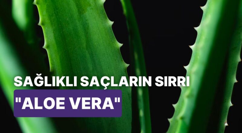 Aloe Vera'nın Saç Bakımındaki İnanılmaz Gücü Sayesinde Saç Problemlerinden Kurtulabilirsiniz!