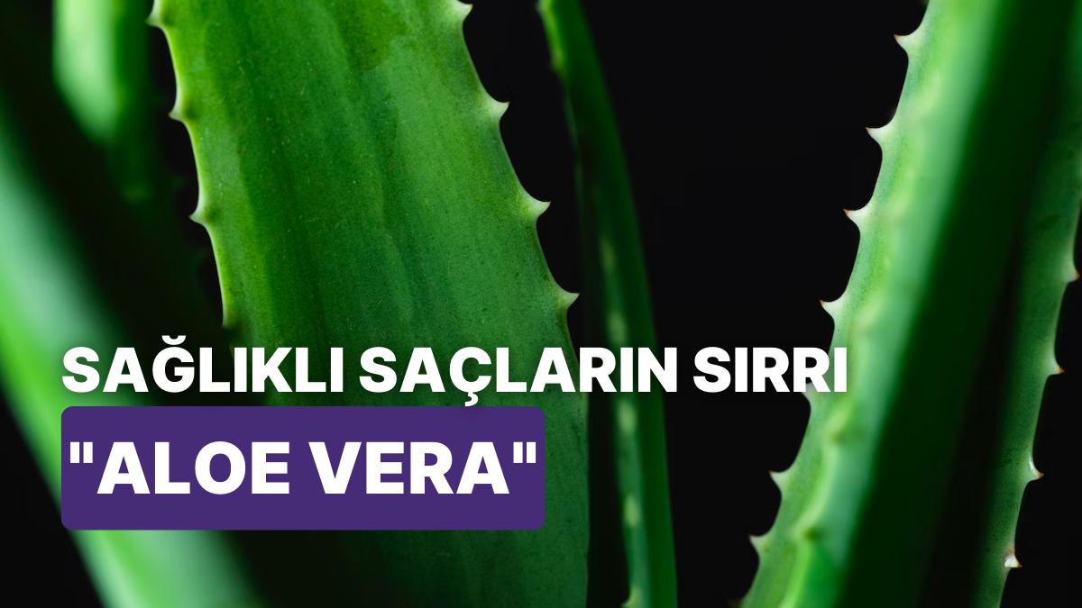 Aloe Vera'nın Saç Bakımındaki İnanılmaz Gücü Sayesinde Saç Problemlerinden Kurtulabilirsiniz!