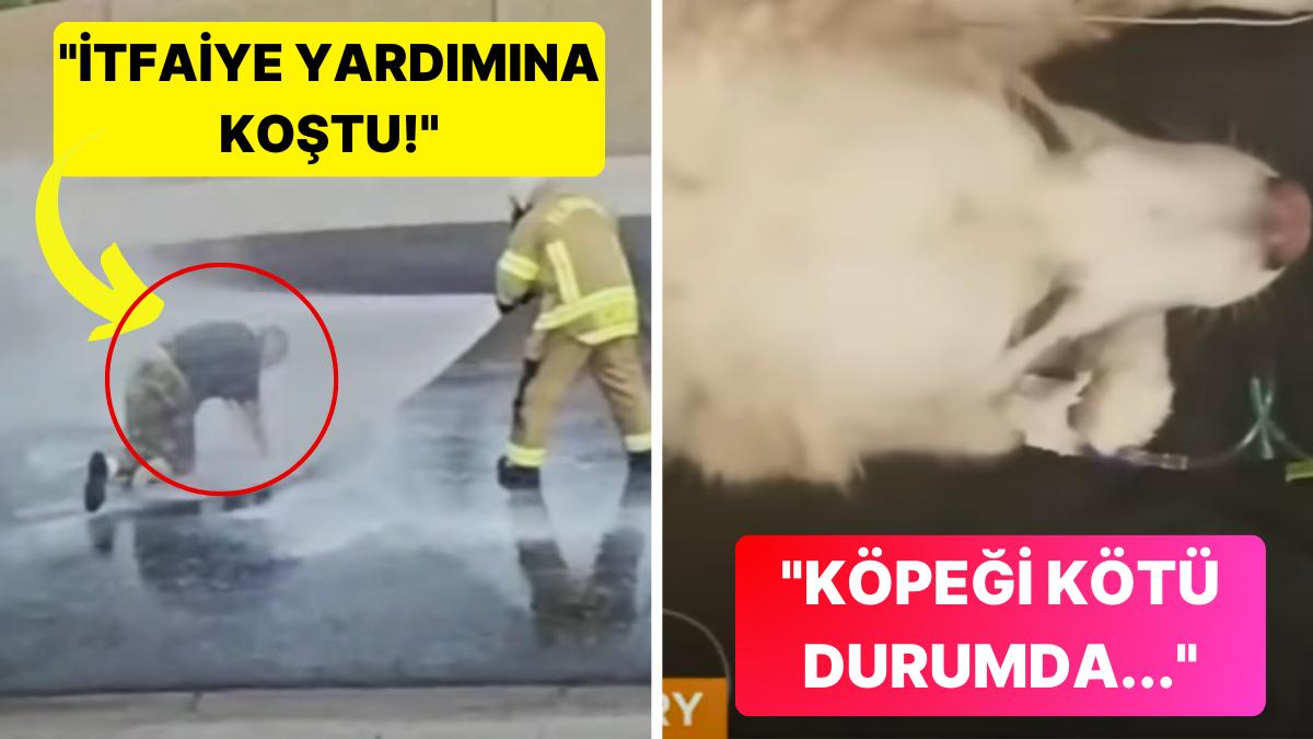 Binlerce Katil Arının Saldırısına Uğrayıp 250 Sefer Sokulan Adamın Şoke Eden Kıssası