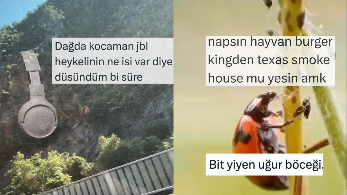 Dağdaki Hoparlör Heykelinden Uğur Böceklerinin Beslenme Alışkanlıklarına Son 24 Saatin Viral Tweetleri Dağdaki Hoparlör Heykelinden Uğur Böceklerinin Beslenme Alışkanlıklarına Son 24 Saatin Viral Tweetleri
