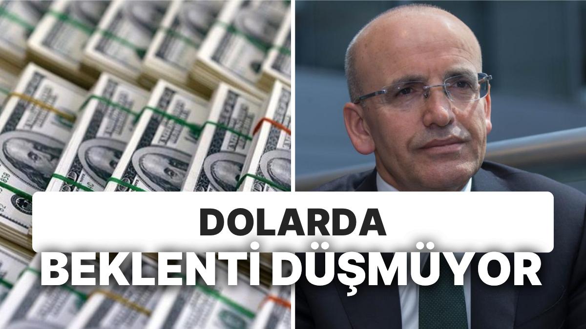 Dolarda Yükseliş Beklentileri Güncelleniyor: Şimşek'e Dair Görüşler Yenileniyor